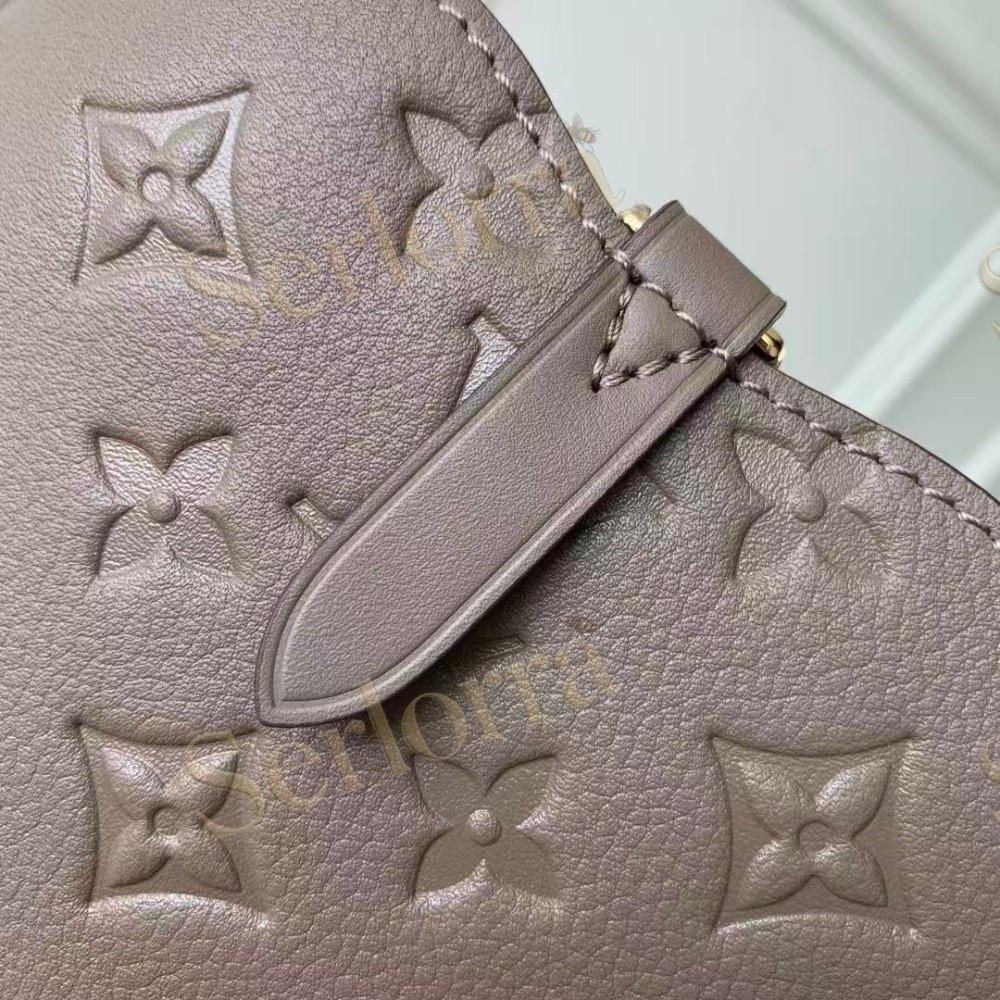 LOUIS VUITTON ALL IN ONE PM