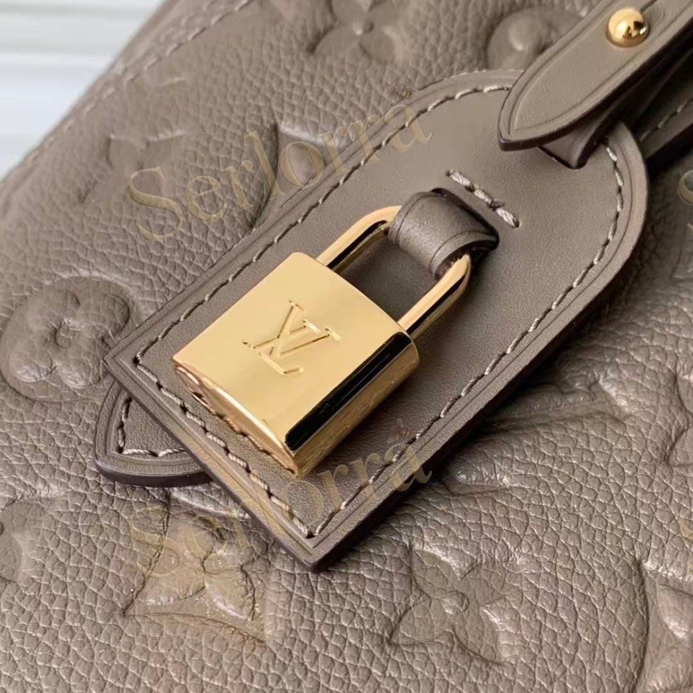 LOUIS VUITTON ALL IN ONE PM