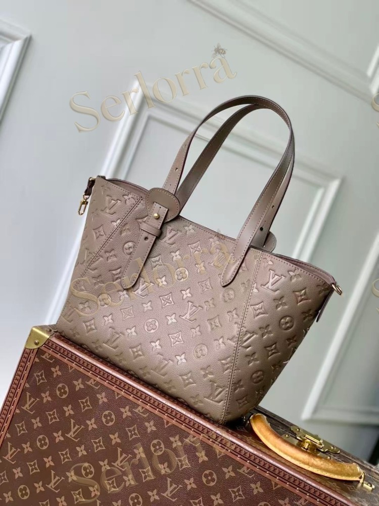 LOUIS VUITTON ALL IN ONE PM