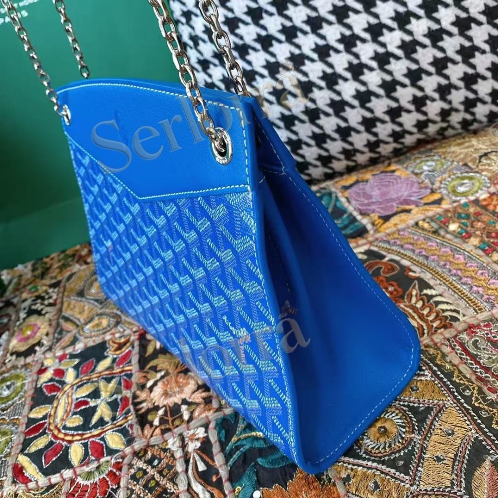 GOYARD ROUETTE STRUCTURÉ PM BAG