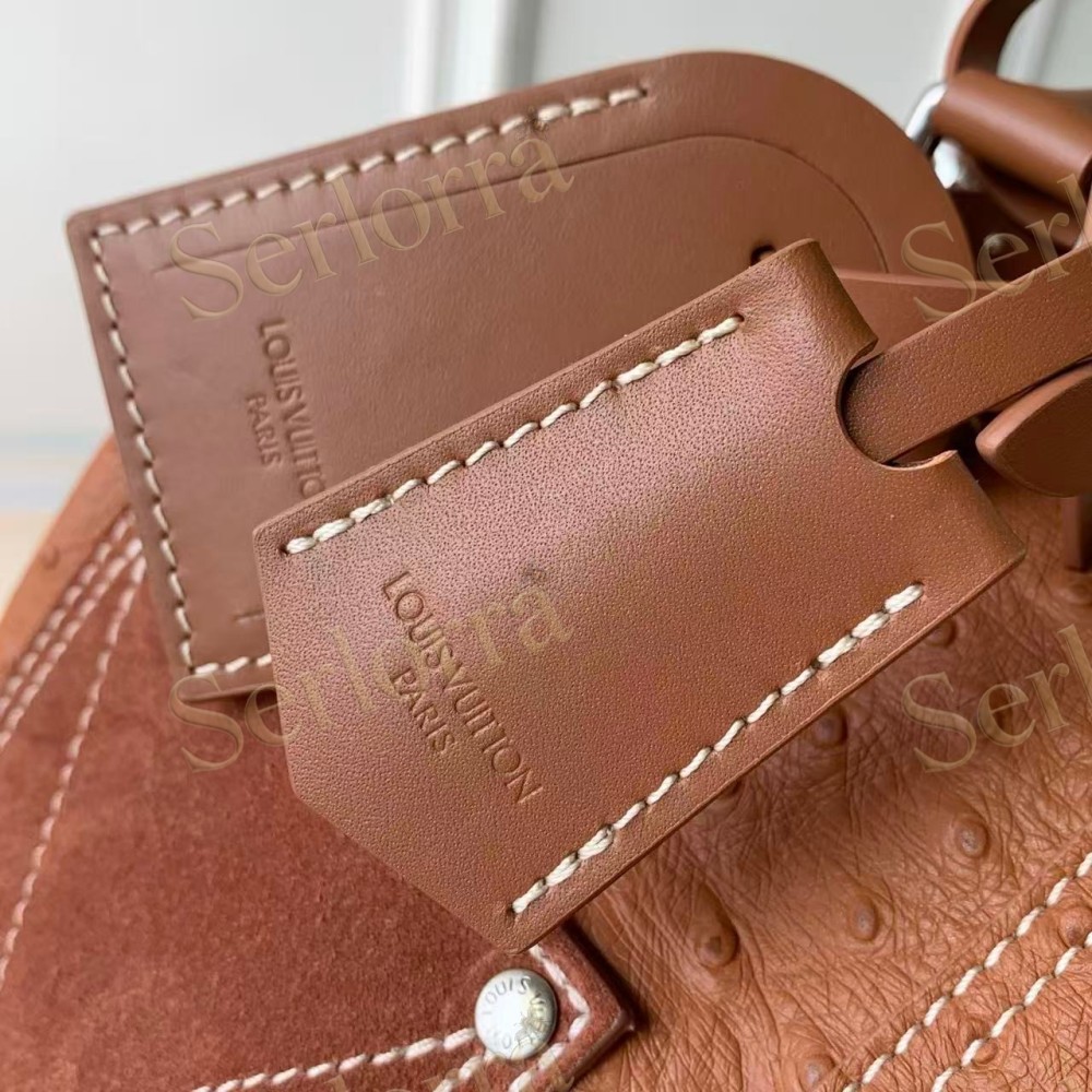 LOUIS VUITTON SPEEDY P9 BANDOULIÈRE 25