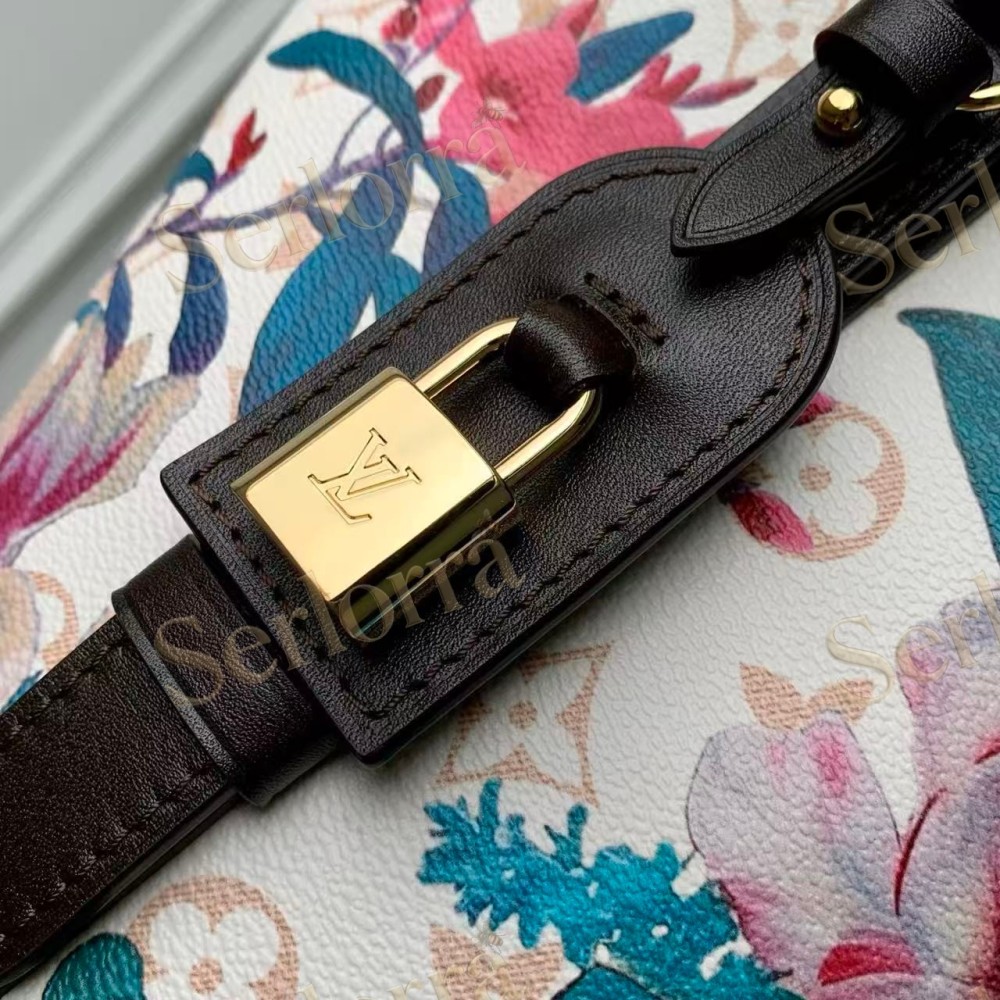 LOUIS VUITTON ALL IN BB