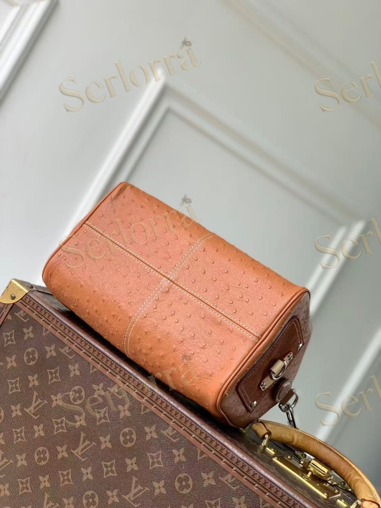 LOUIS VUITTON SPEEDY P9 BANDOULIÈRE 25