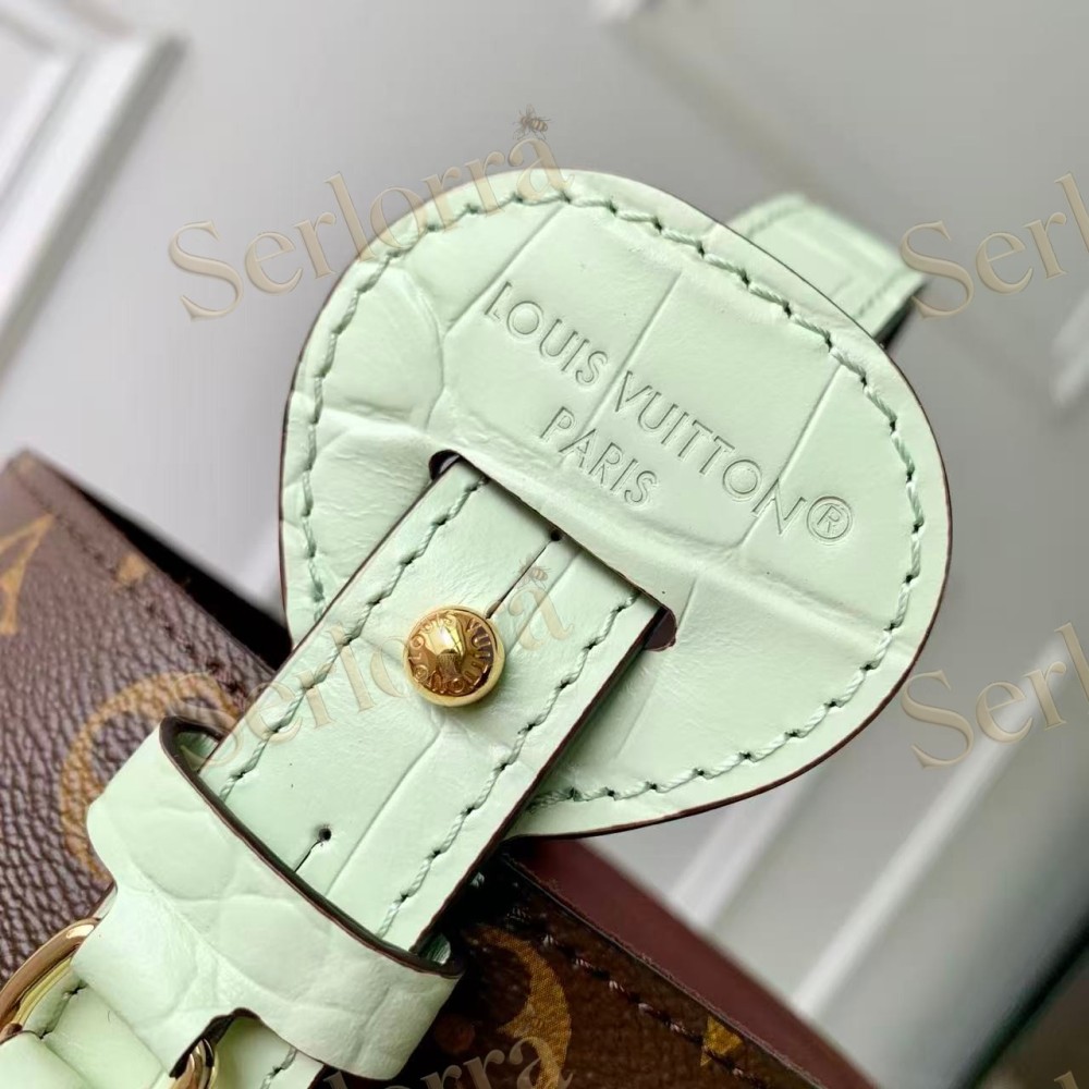 LOUIS VUITTON ALL IN BB