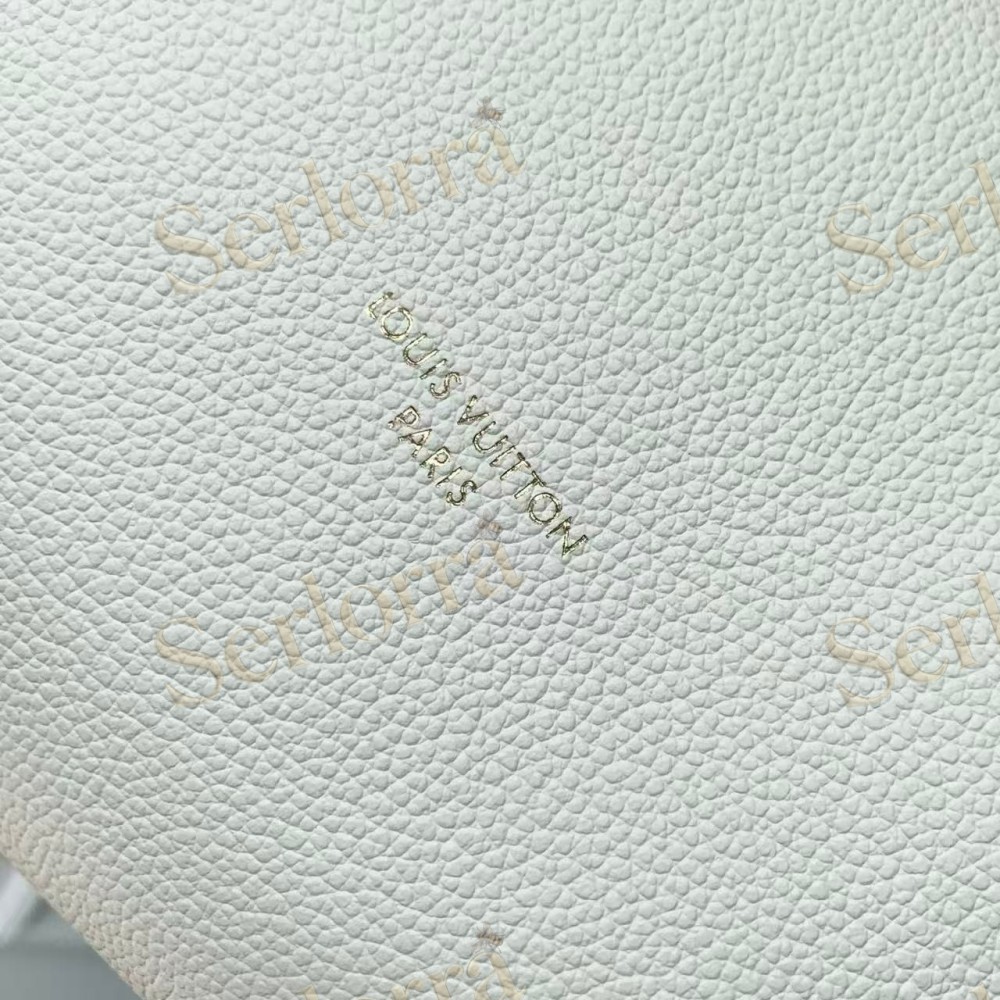 LOUIS VUITTON EXPRESS PM