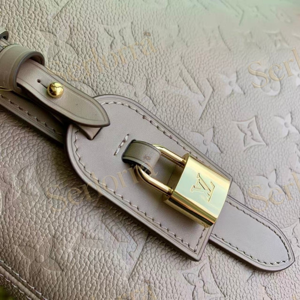 LOUIS VUITTON ALL IN ONE MM