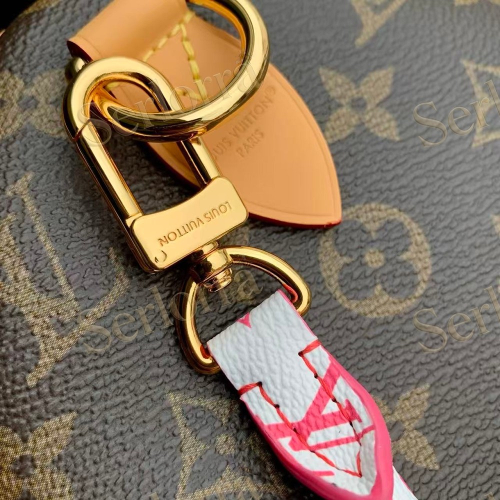 LOUIS VUITTON SPEEDY SOFT 30
