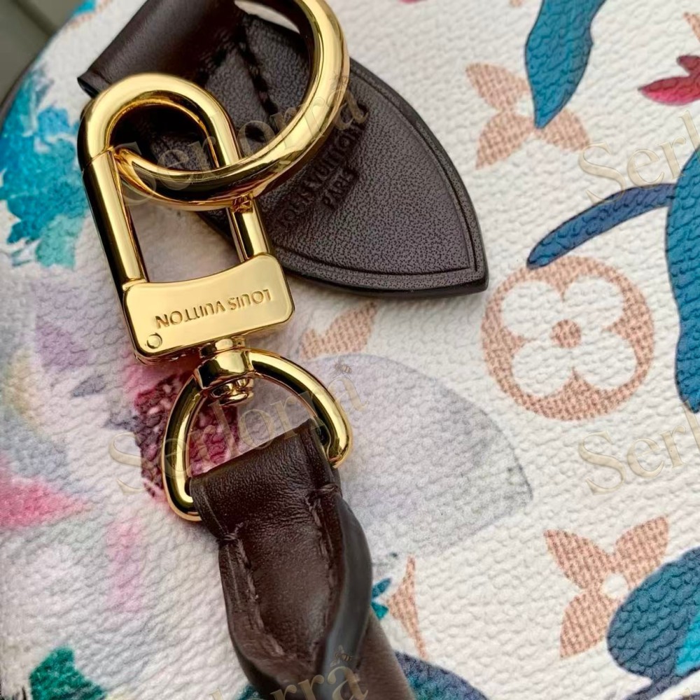 LOUIS VUITTON SPEEDY SOFT 30
