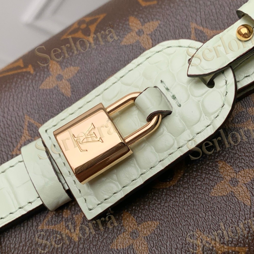 LOUIS VUITTON ALL IN BB