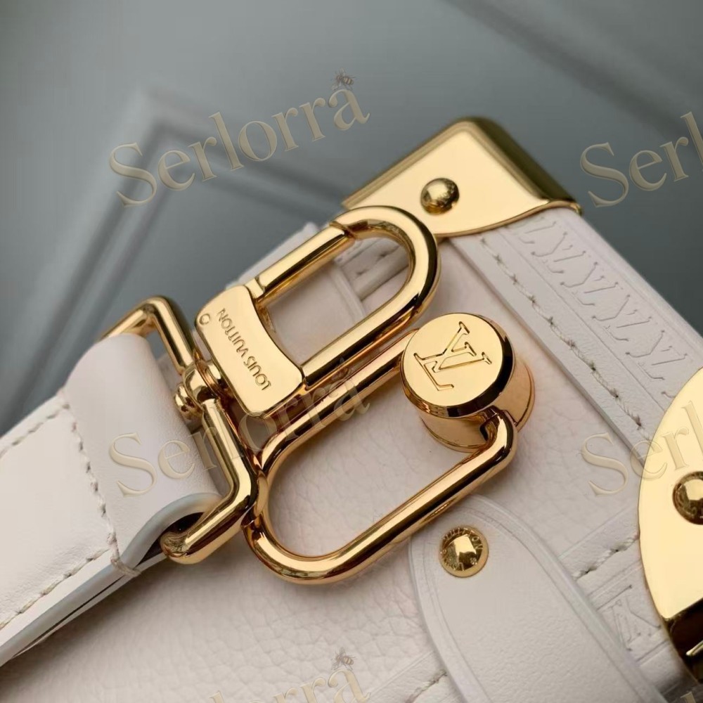 LOUIS VUITTON SIDE TRUNK PM