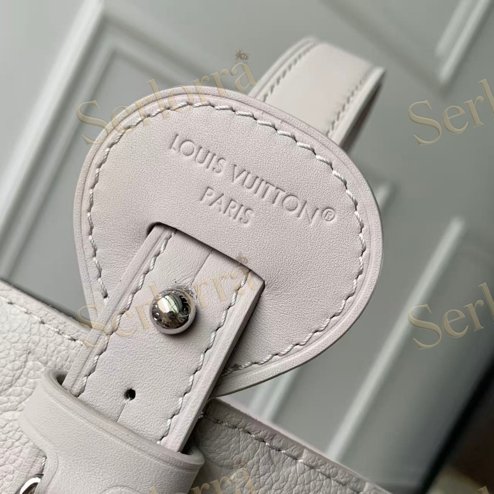 LOUIS VUITTON ALL IN BB