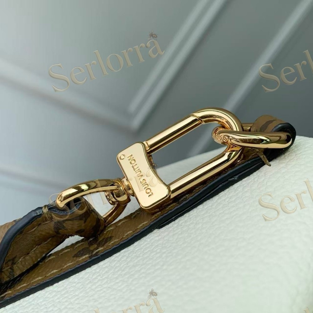 LOUIS VUITTON EXPRESS PM