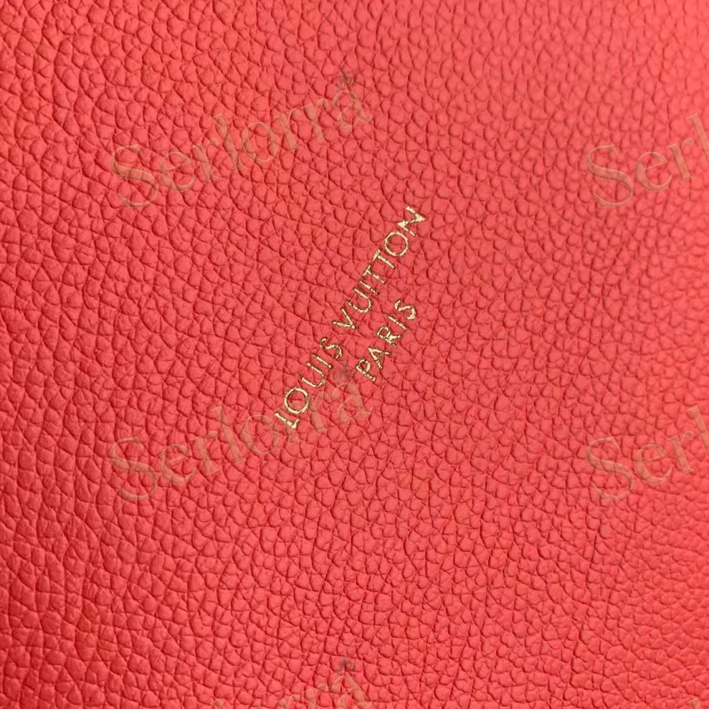 LOUIS VUITTON EXPRESS PM
