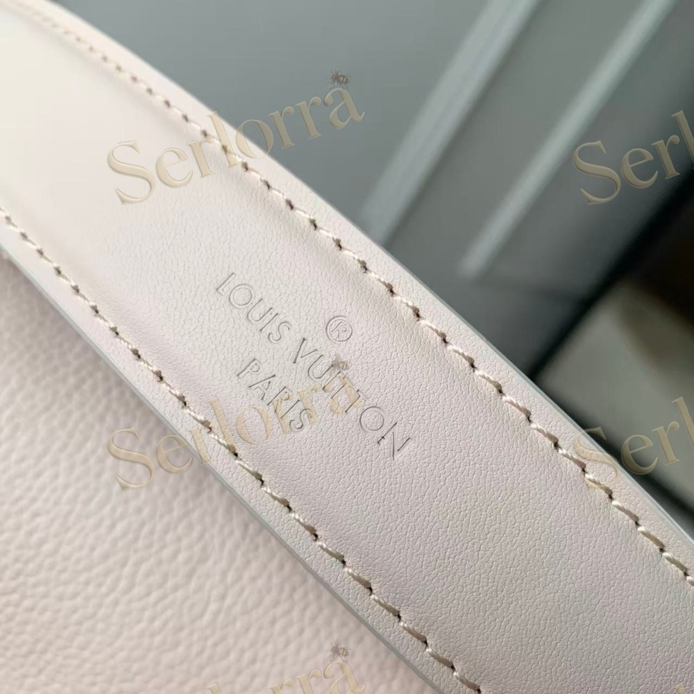 LOUIS VUITTON SIDE TRUNK PM