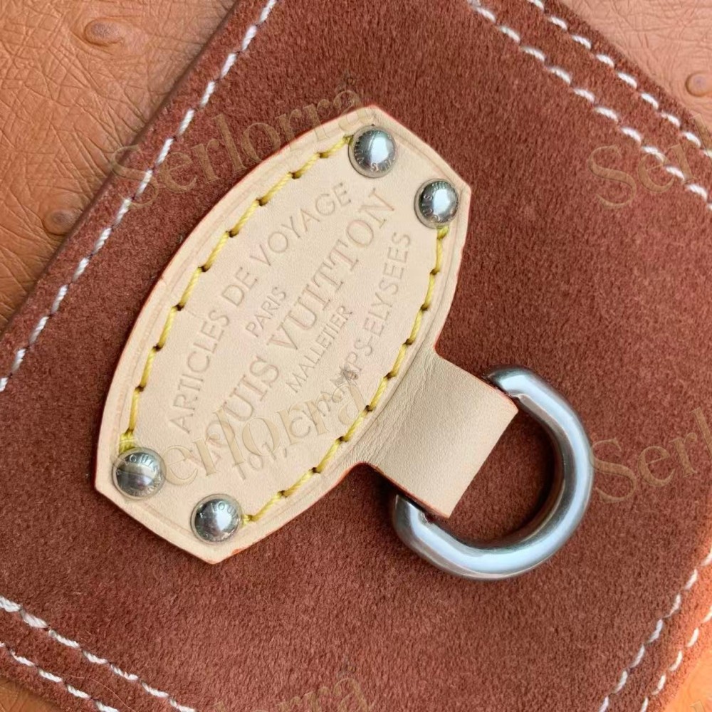 LOUIS VUITTON SPEEDY P9 BANDOULIÈRE 25