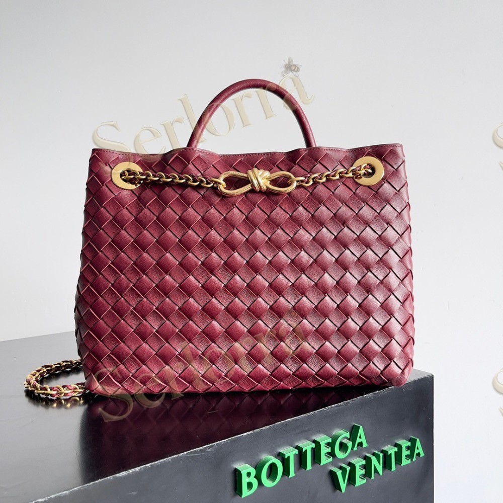 BOTTEGA VENETA MEDIUM ANDIAMO CHAIN