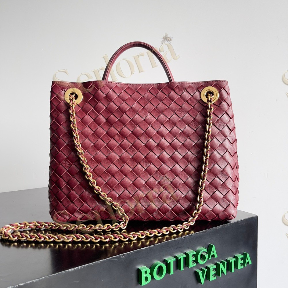 BOTTEGA VENETA MEDIUM ANDIAMO CHAIN