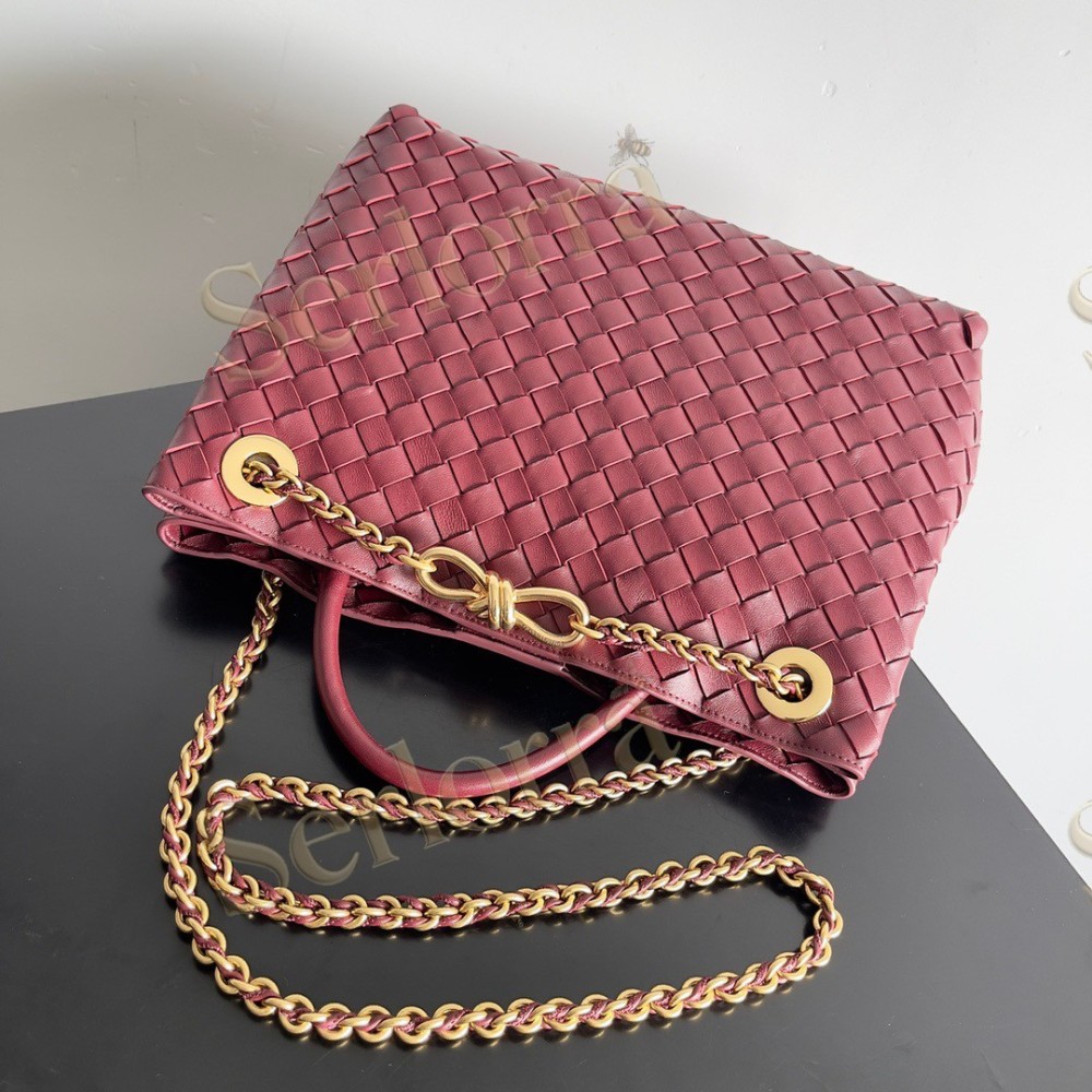 BOTTEGA VENETA MEDIUM ANDIAMO CHAIN