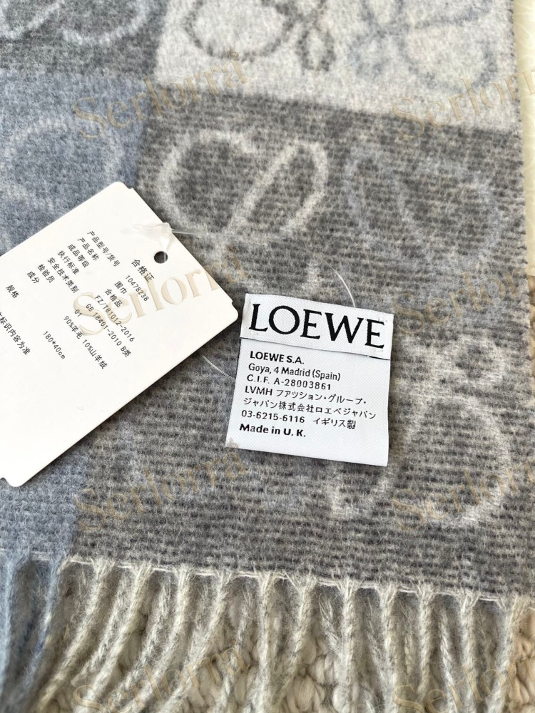 LOEWE CHECK SCARF