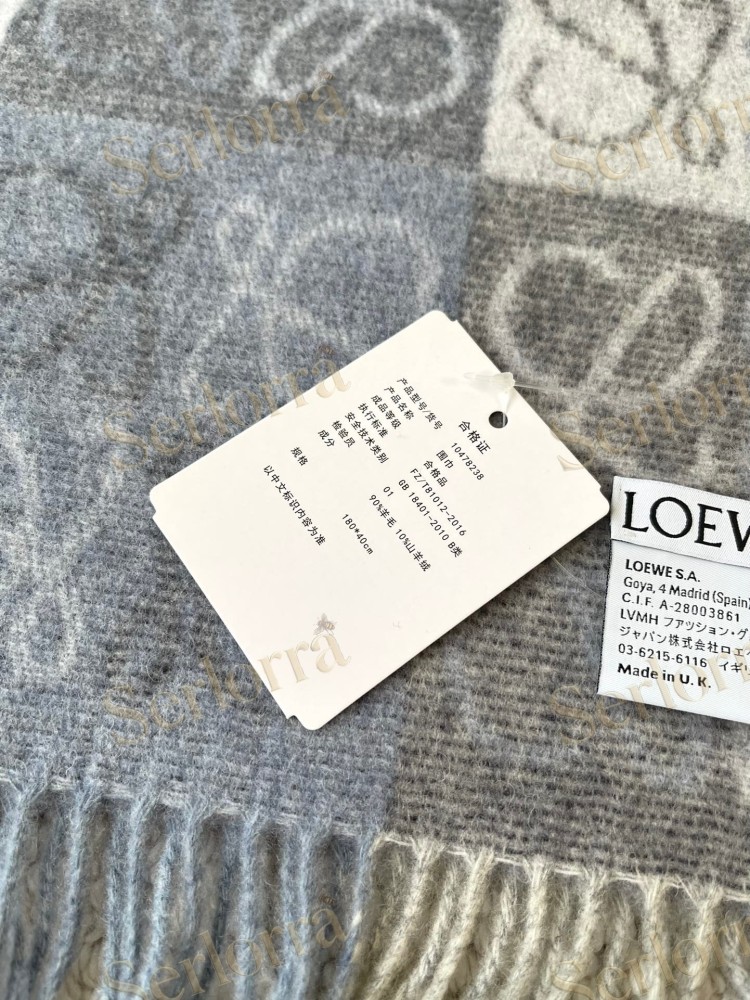 LOEWE CHECK SCARF