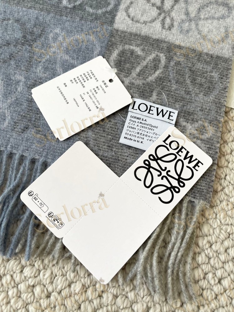 LOEWE CHECK SCARF