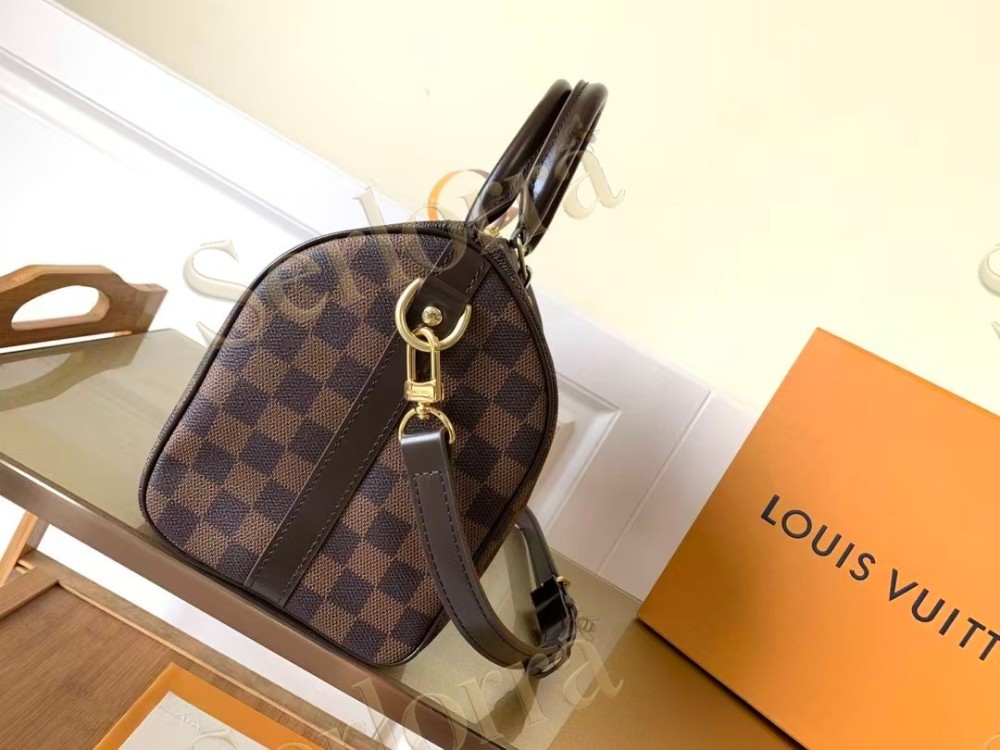 LOUIS VUITTON SPEEDY BANDOULIÈRE 25 DAMIER EBENE CANVAS