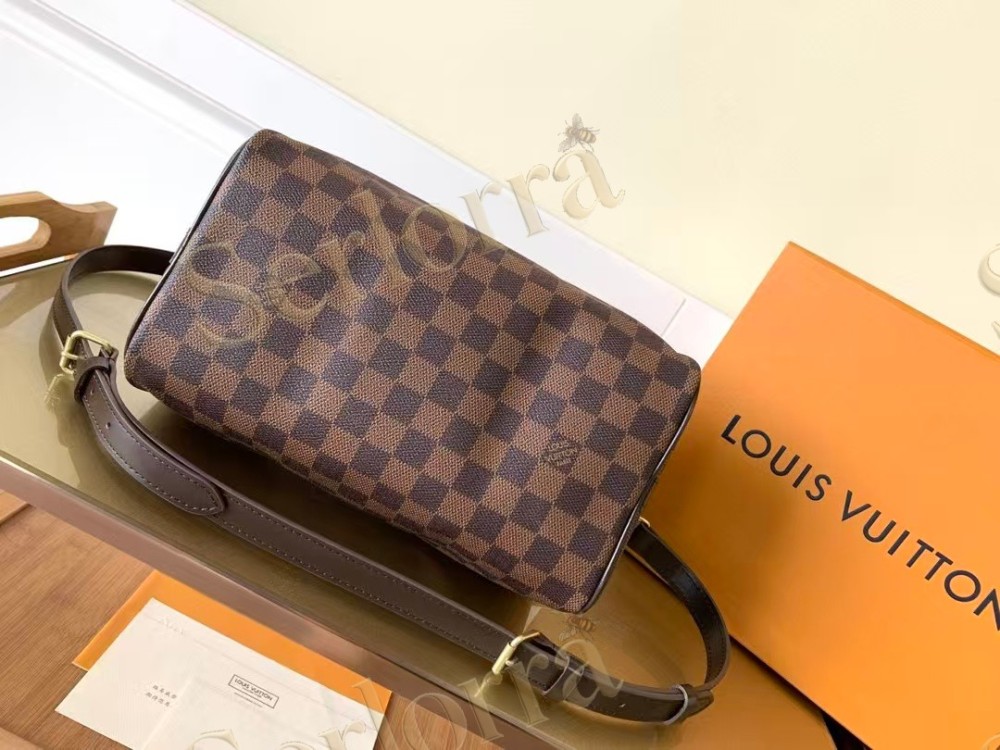 LOUIS VUITTON SPEEDY BANDOULIÈRE 25 DAMIER EBENE CANVAS