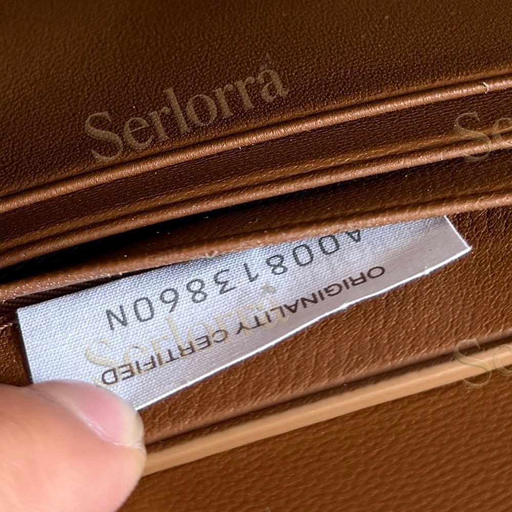 BOTTEGA VENETA ANDIAMO CLUTCH