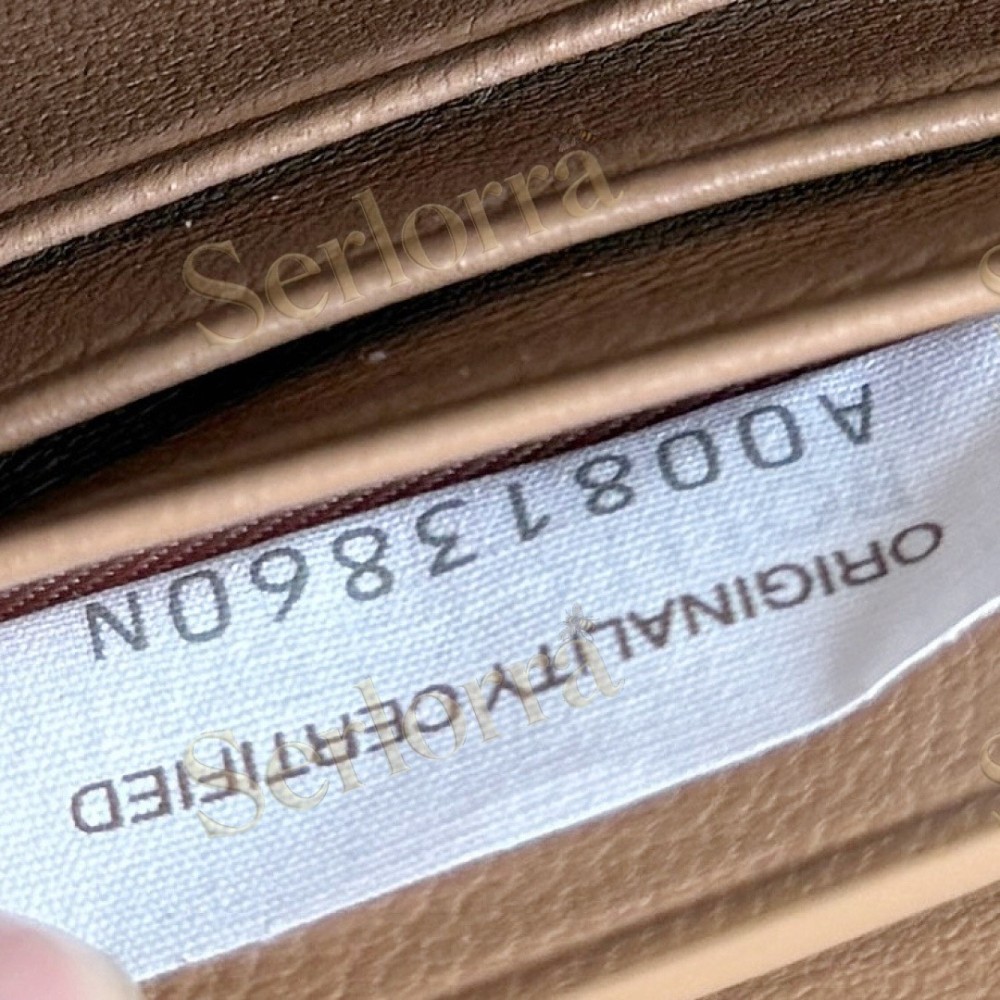BOTTEGA VENETA ANDIAMO CLUTCH