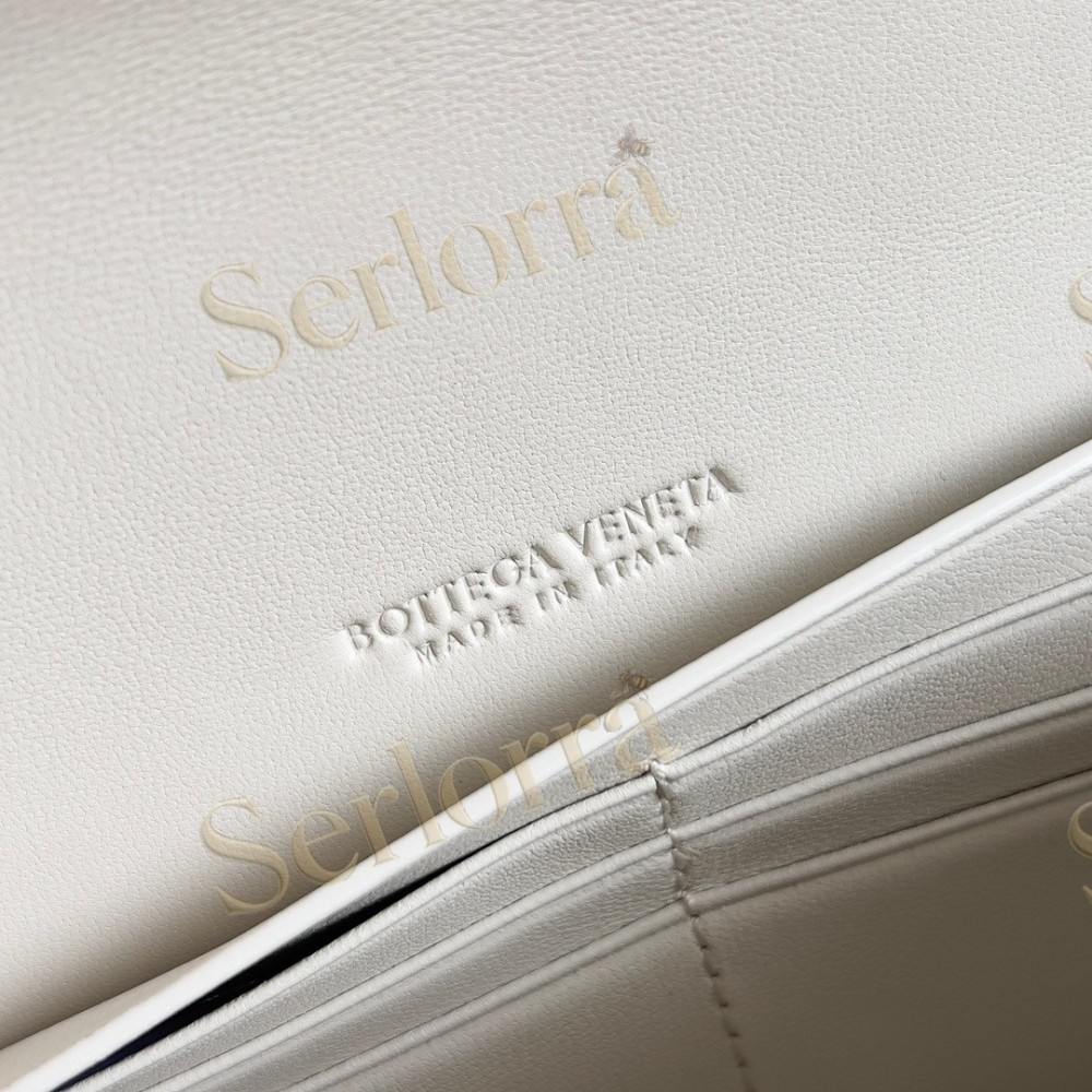 BOTTEGA VENETA ANDIAMO CLUTCH