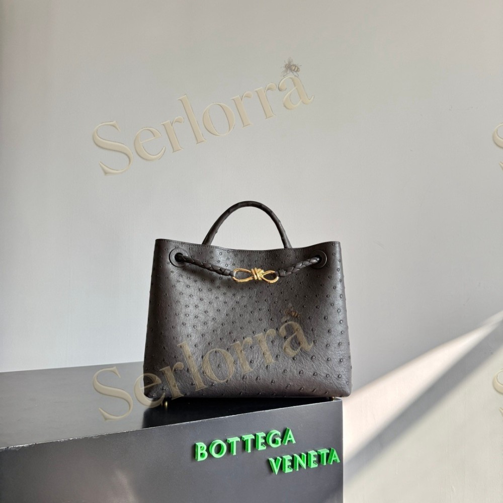 BOTTEGA VENETA MEDIUM ANDIAMO