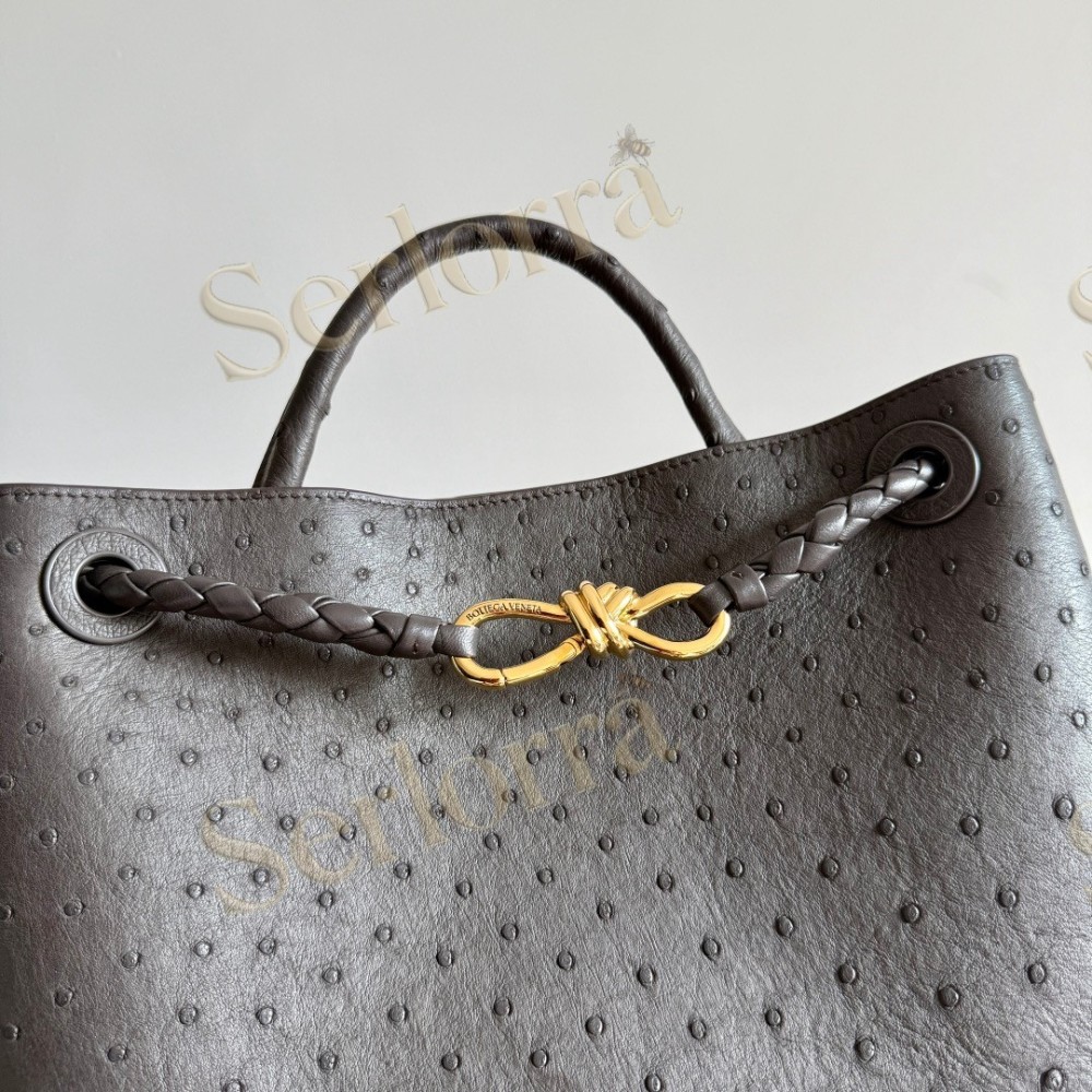 BOTTEGA VENETA MEDIUM ANDIAMO