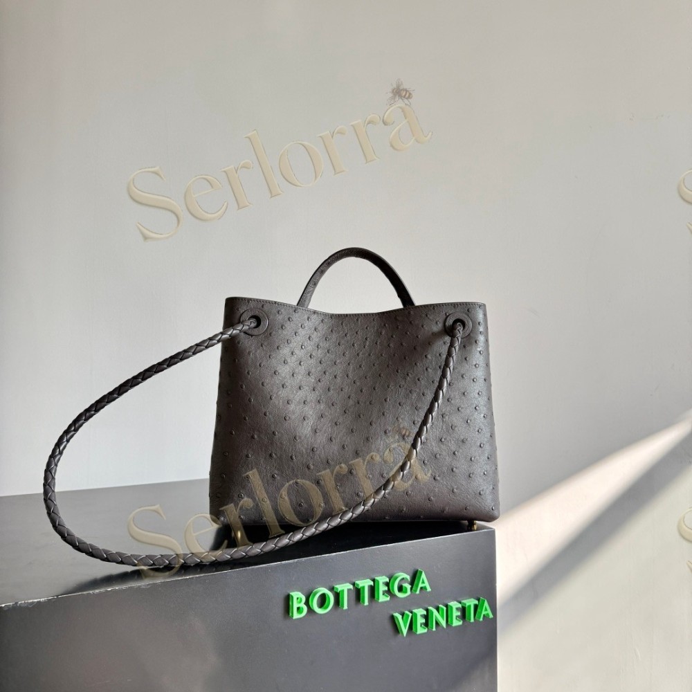 BOTTEGA VENETA MEDIUM ANDIAMO