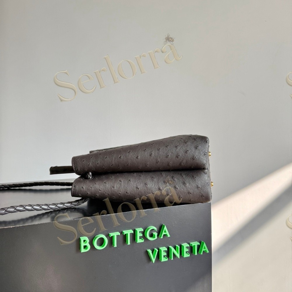 BOTTEGA VENETA MEDIUM ANDIAMO