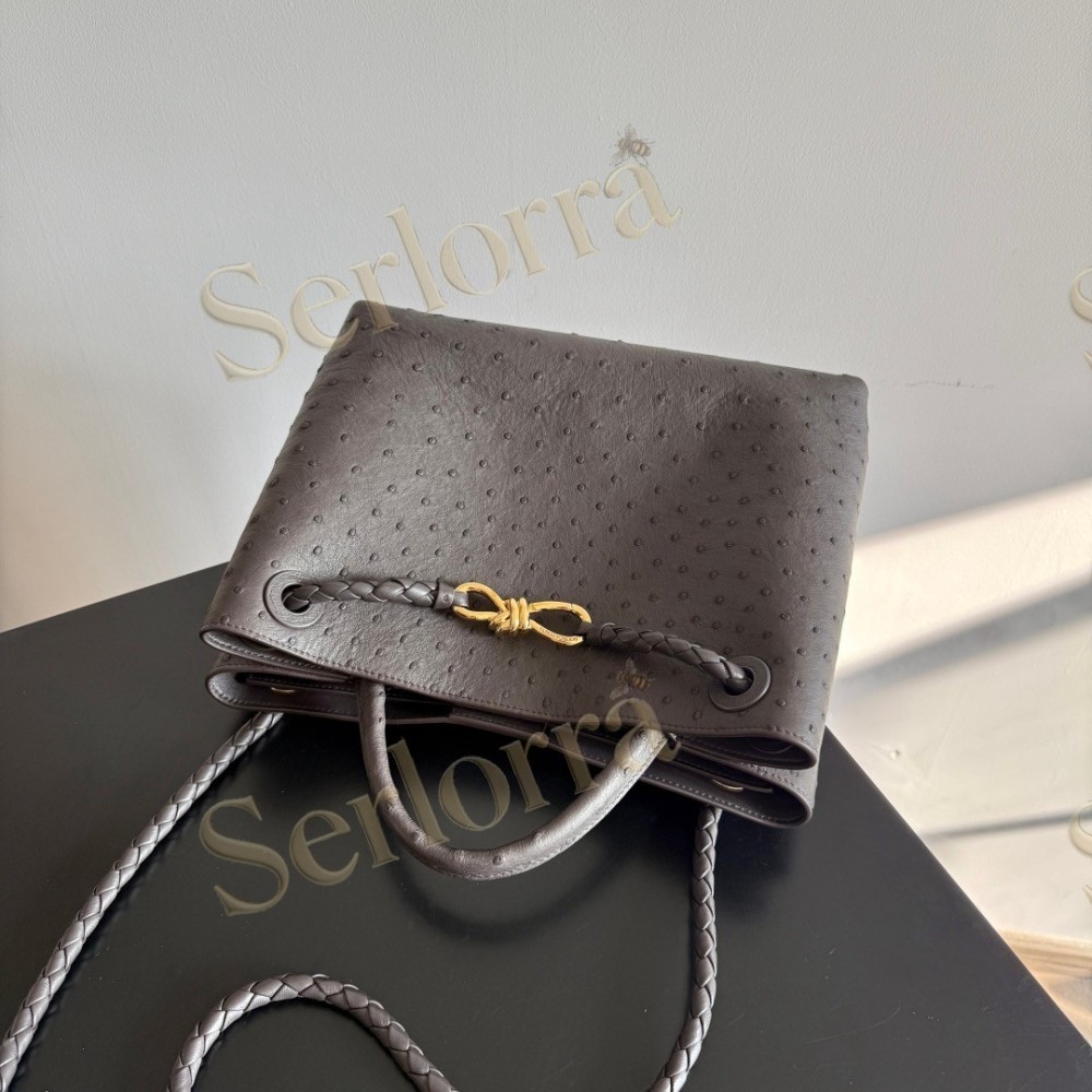 BOTTEGA VENETA MEDIUM ANDIAMO
