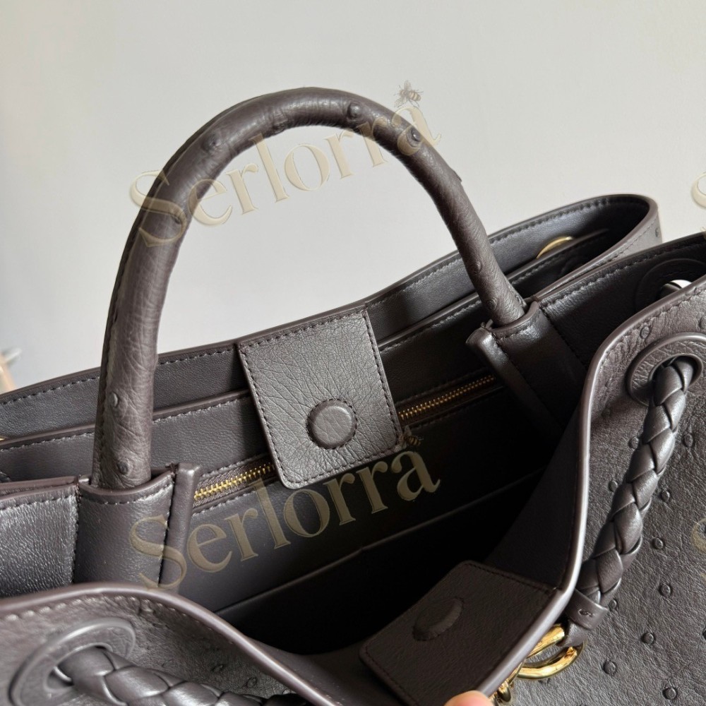 BOTTEGA VENETA MEDIUM ANDIAMO