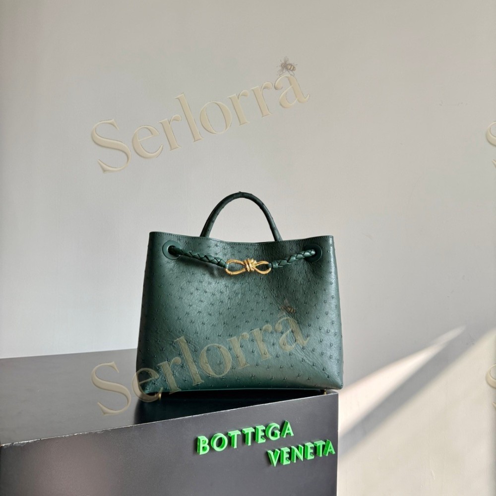 BOTTEGA VENETA MEDIUM ANDIAMO