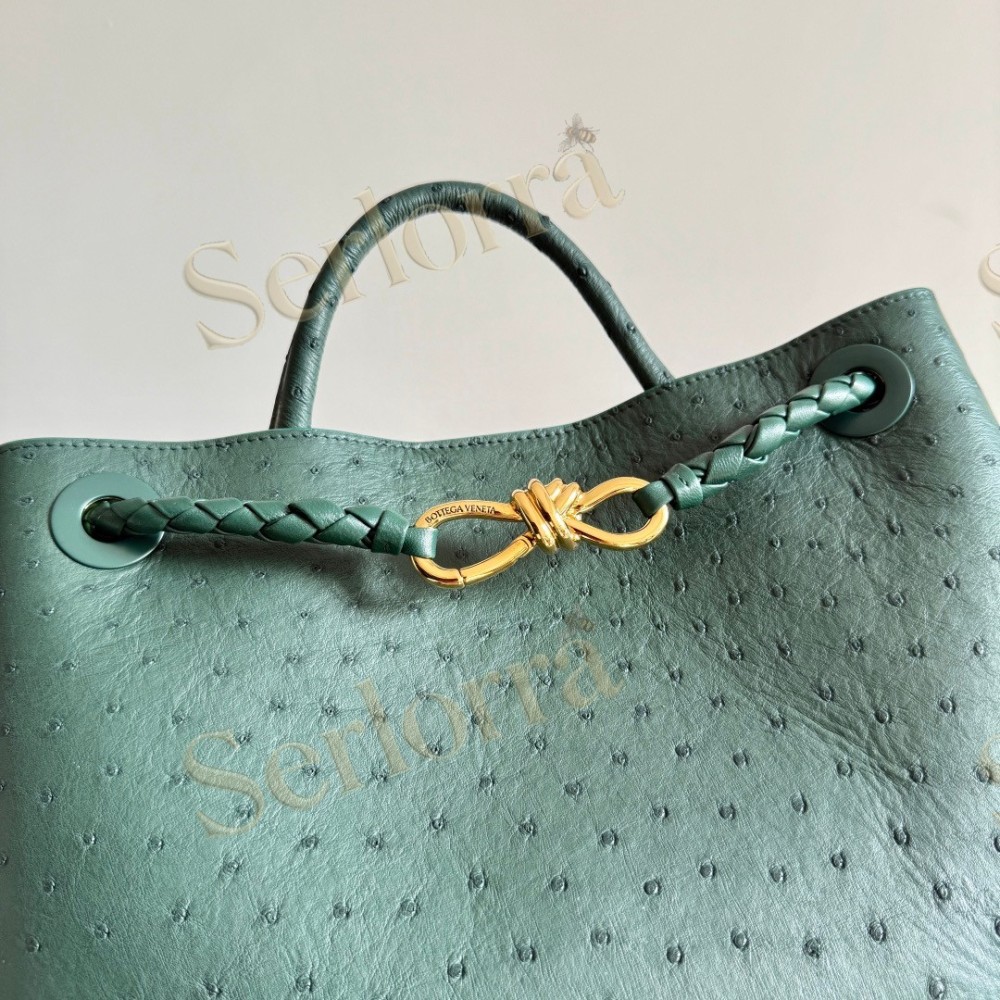 BOTTEGA VENETA MEDIUM ANDIAMO