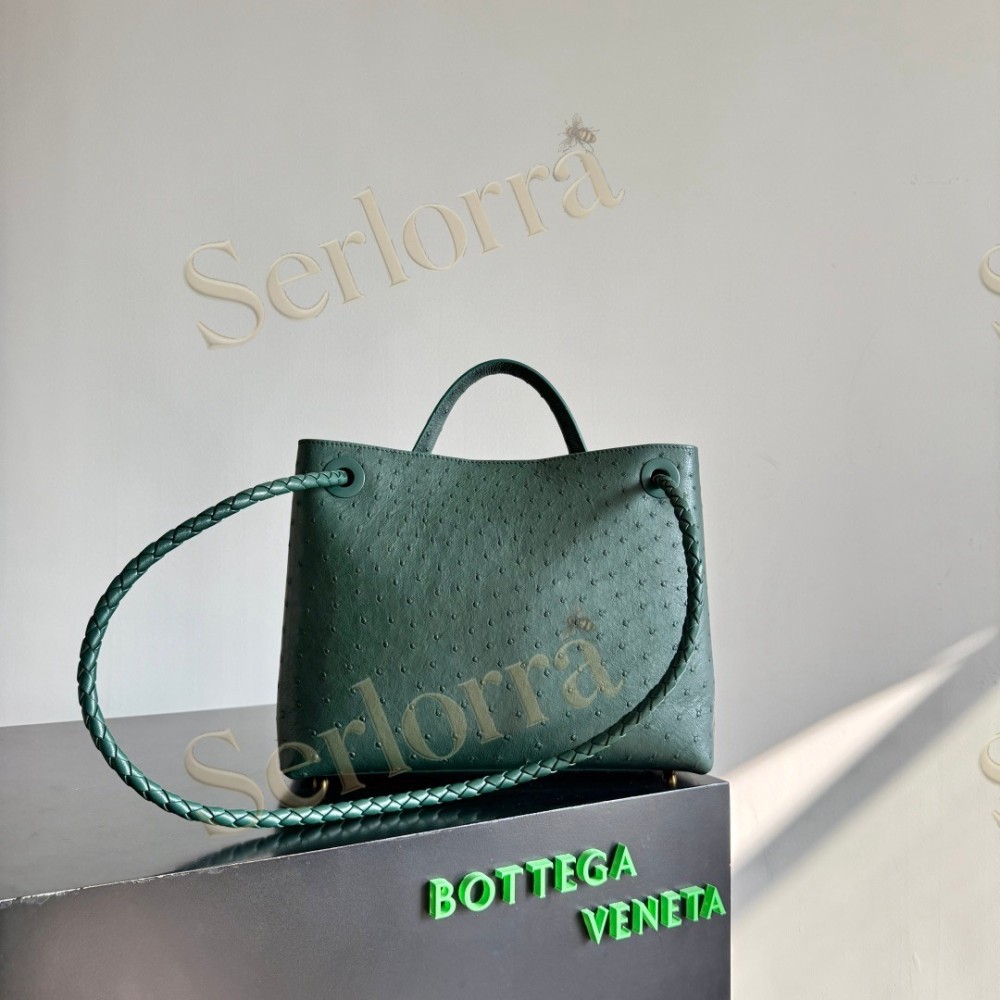 BOTTEGA VENETA MEDIUM ANDIAMO