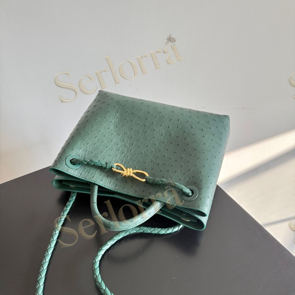 BOTTEGA VENETA MEDIUM ANDIAMO