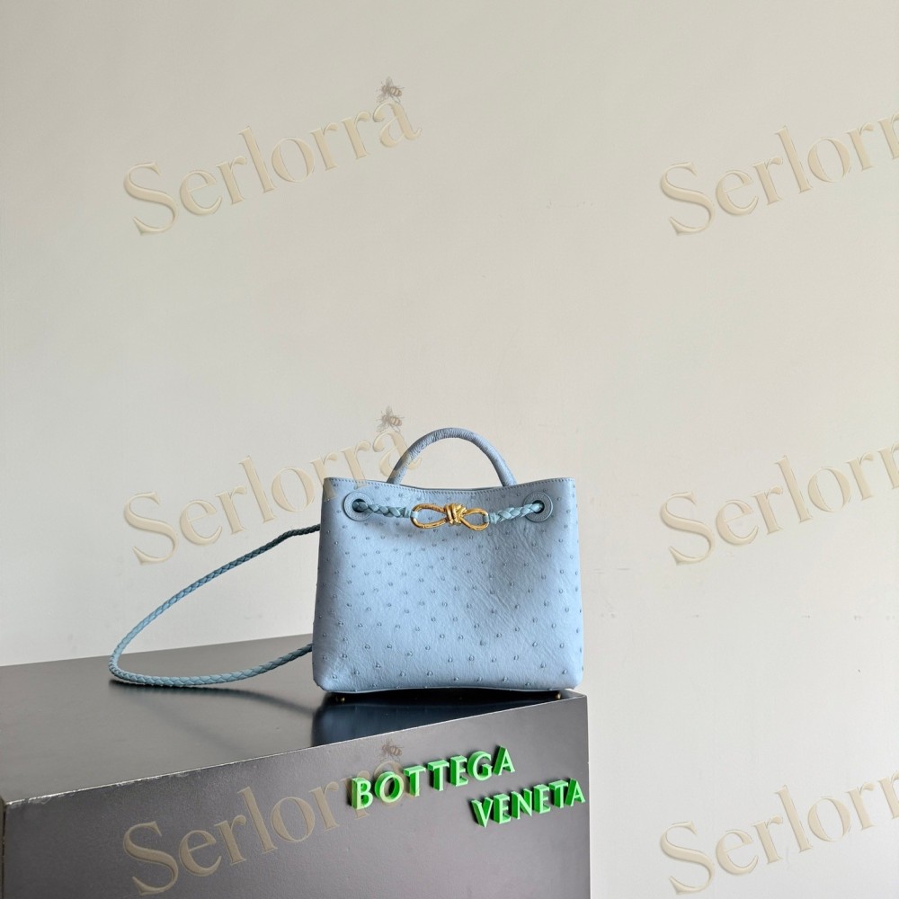 BOTTEGA VENETA SMALL ANDIAMO