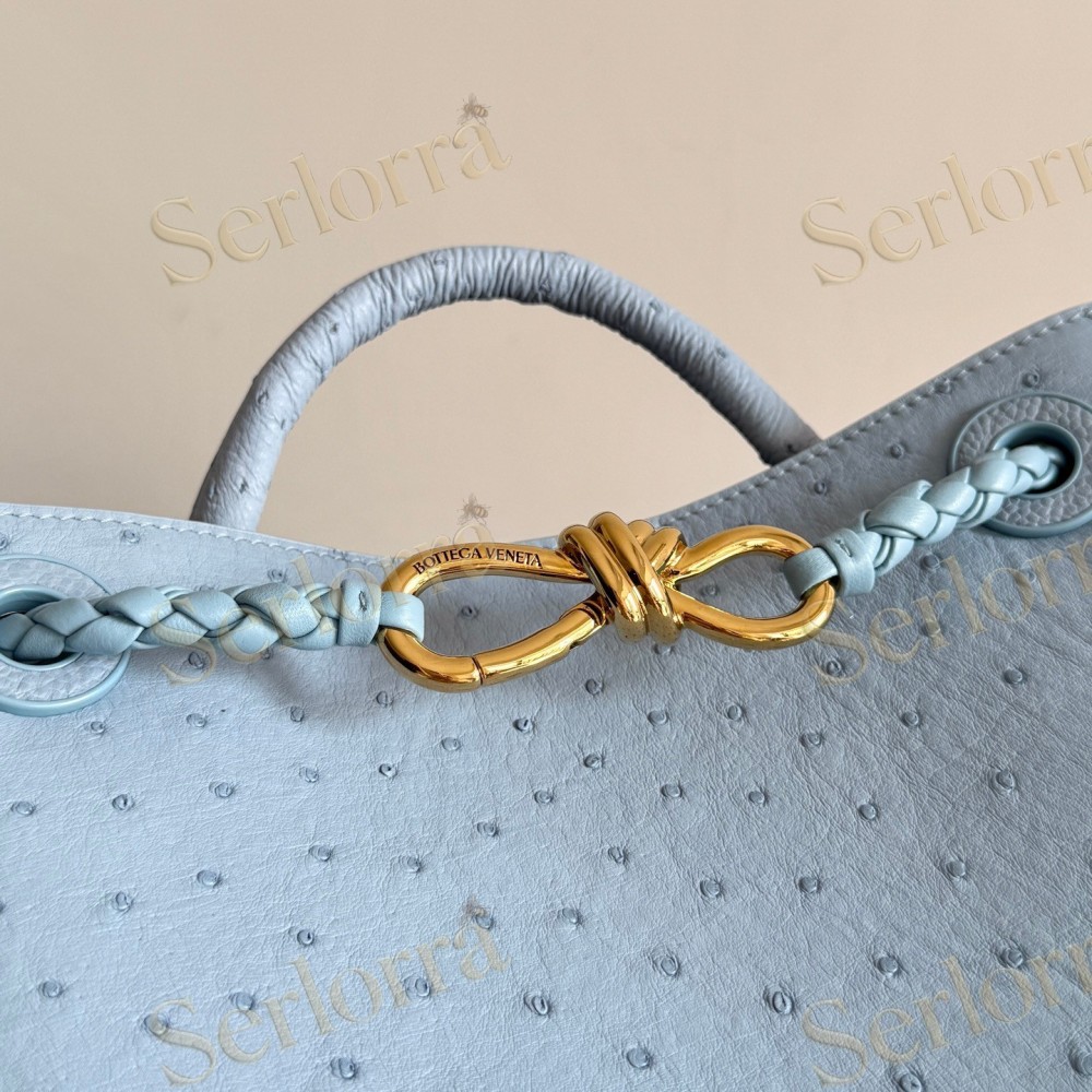BOTTEGA VENETA SMALL ANDIAMO