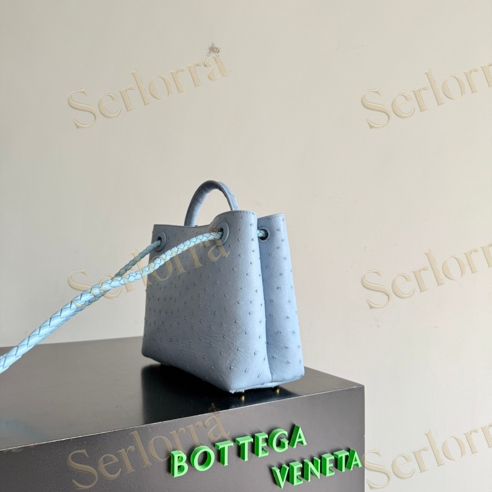 BOTTEGA VENETA SMALL ANDIAMO
