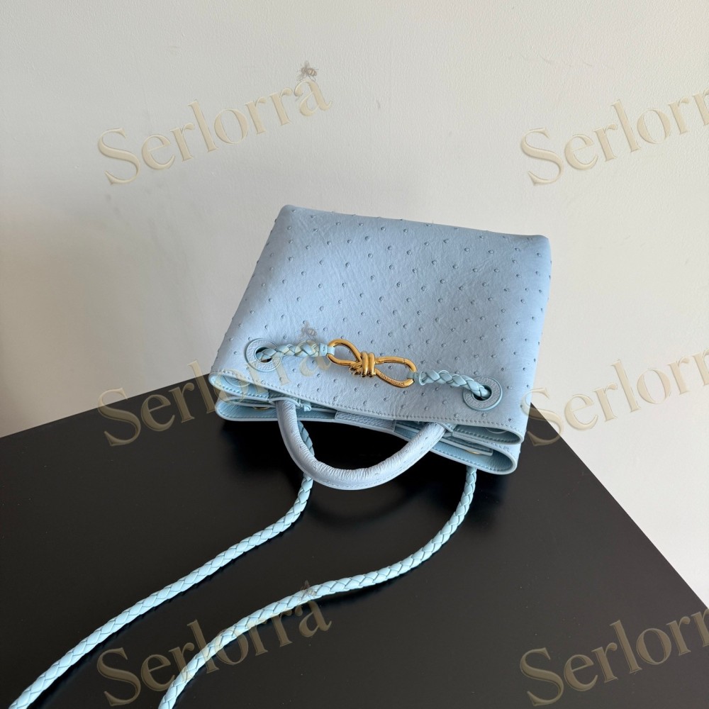BOTTEGA VENETA SMALL ANDIAMO