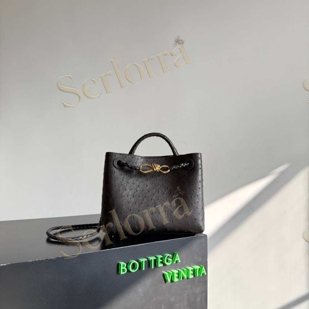 BOTTEGA VENETA SMALL ANDIAMO