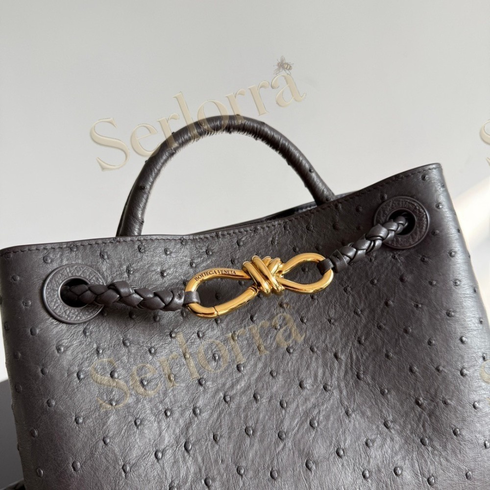 BOTTEGA VENETA SMALL ANDIAMO