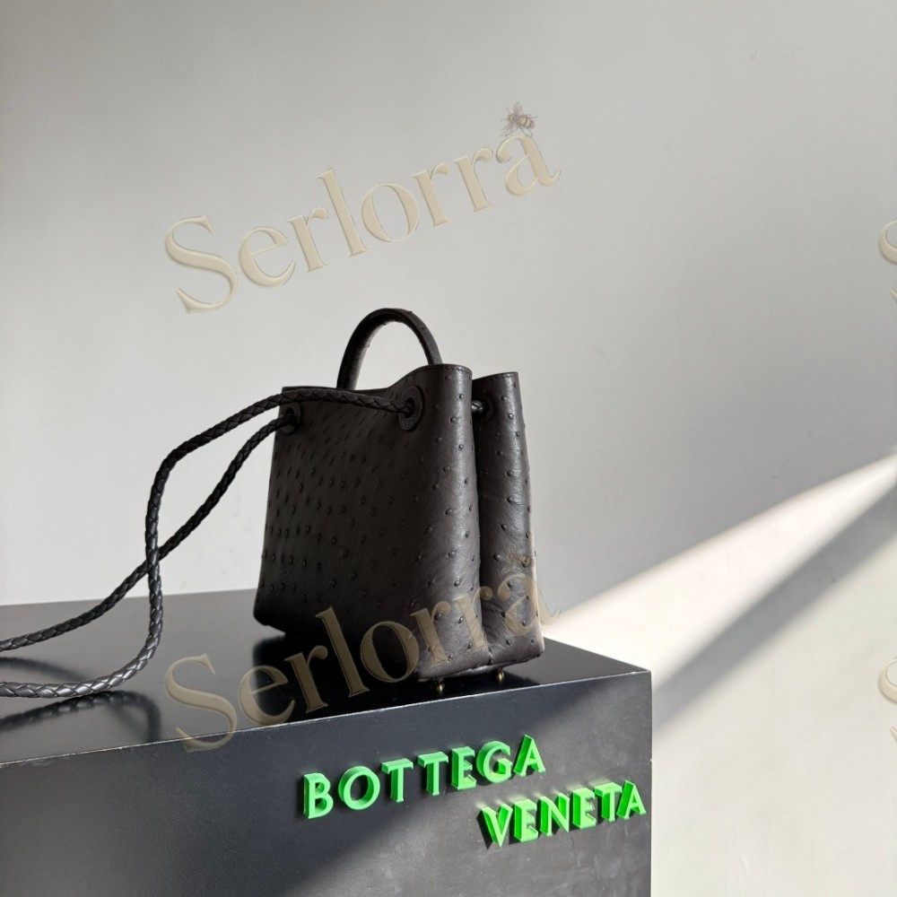 BOTTEGA VENETA SMALL ANDIAMO