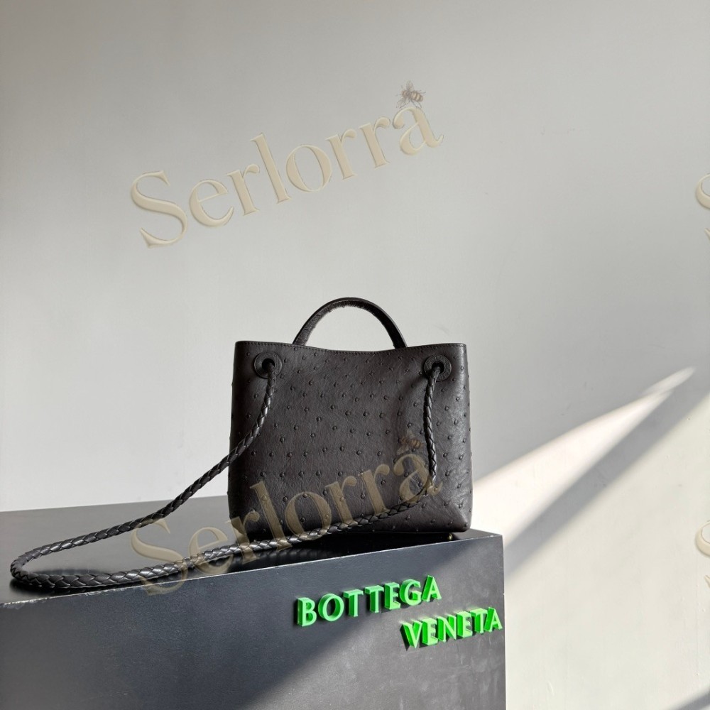 BOTTEGA VENETA SMALL ANDIAMO