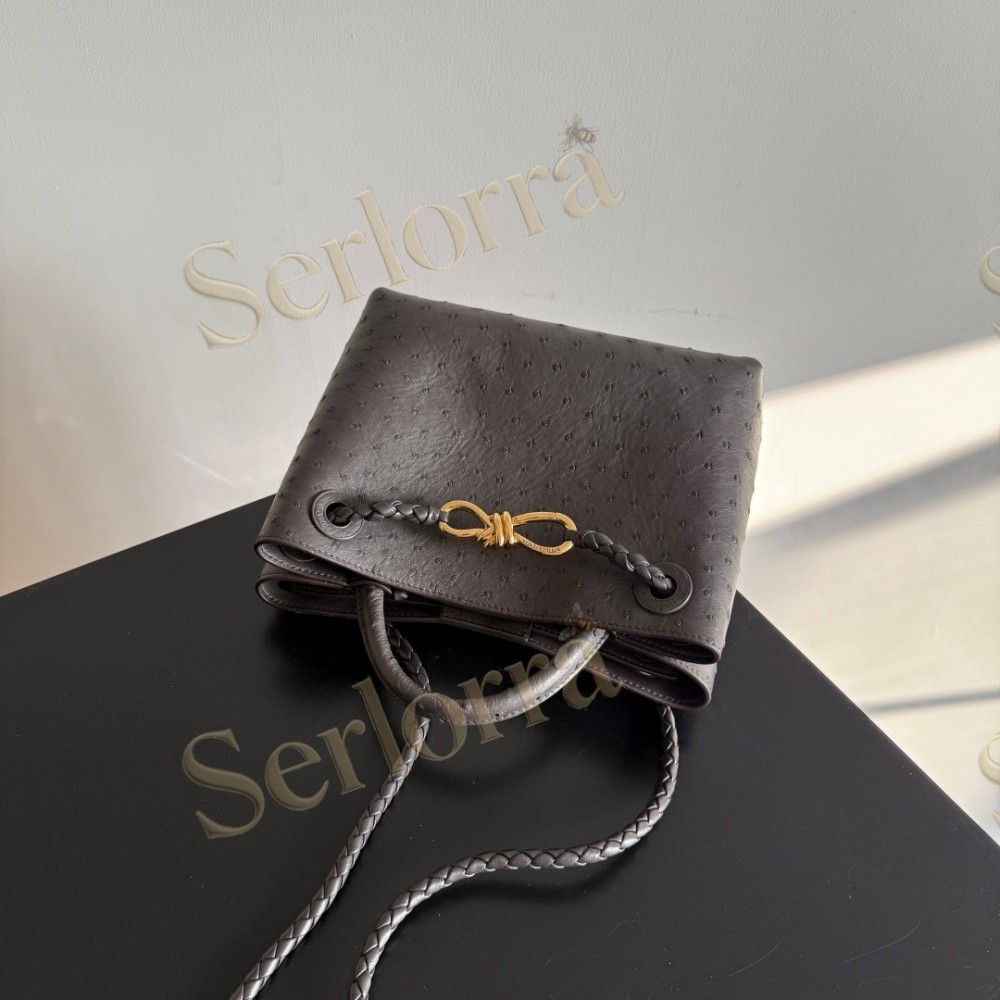 BOTTEGA VENETA SMALL ANDIAMO