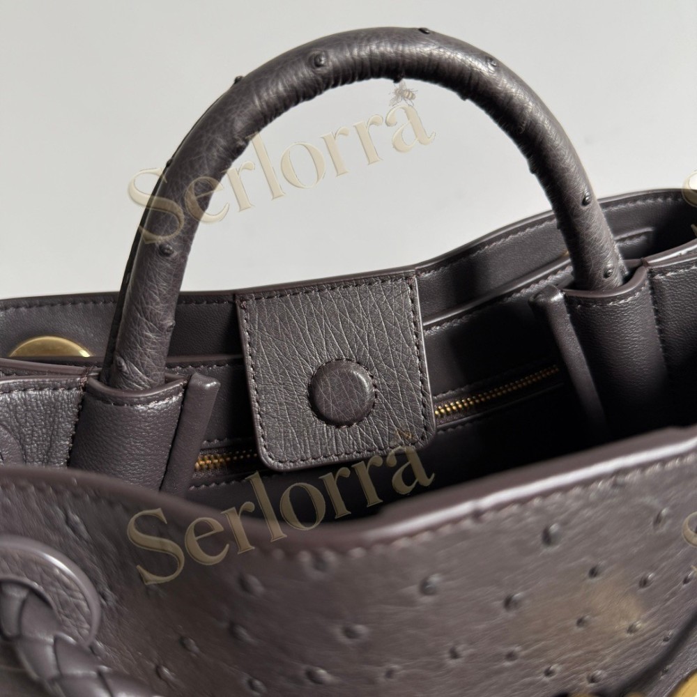 BOTTEGA VENETA SMALL ANDIAMO